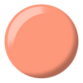 DND Duo Set - Orange Grove #610