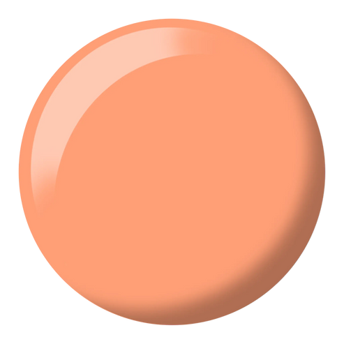 DND Duo Set - Pumpkin Spice #654