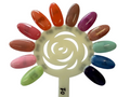 ANS Gel set12 With Color Chart No 01
