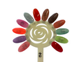 ANS Gel set12 With Color Chart No 07