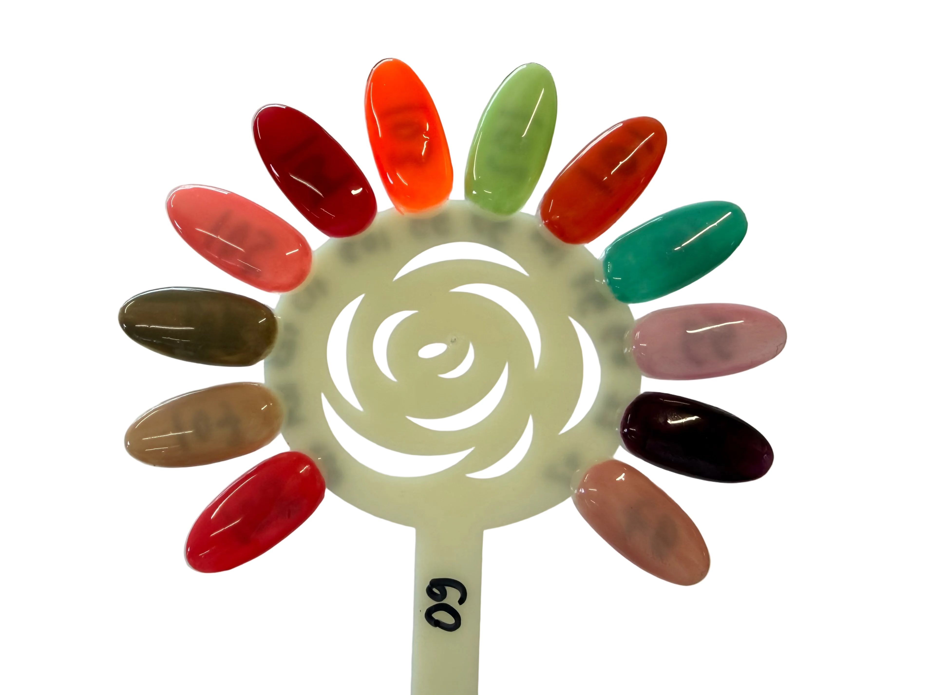 ANS Gel set12 With Color Chart No 09