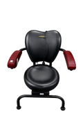 Hula Chair- Electric Massager