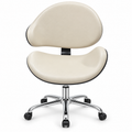 Ergonomic Salon Chair with Backrest